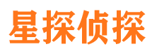 西充寻人公司